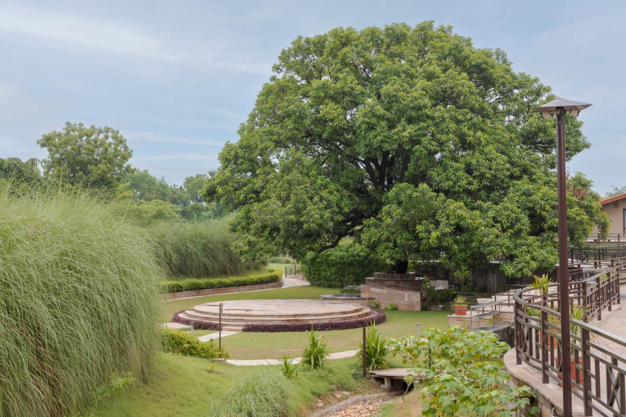 Aamaghati Wildlife Resort, Ranthambore 萨瓦伊马多普尔 外观 照片